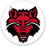 NEW  American Colleges-NCAA  Team Logos  20MM glass snap button