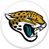 NEW  National Football League NFL  Team Logos  20MM glass snap button