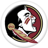 NEW  American Colleges-NCAA  Team Logos  20MM glass snap button