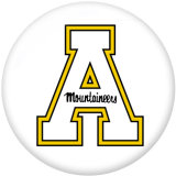 NEW  American Colleges-NCAA  Team Logos  20MM glass snap button