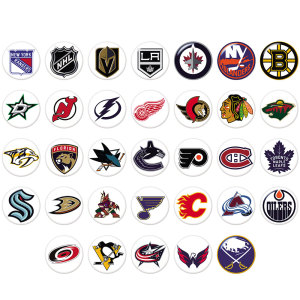 NEW  National Hockey League NHL  Team Logos  20MM glass snap button