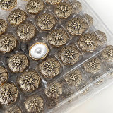 20MM  flower golden silver  snap buttons