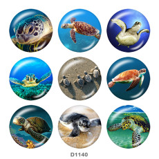 20MM Beach Ocean   sea turtle Print glass snaps buttons