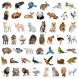 50pcs Animal series panda turtle lion bird graffiti stickers decorative suitcase notebook waterproof detachable stickers