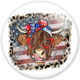 20MM pattern cows  Print  glass snaps buttons