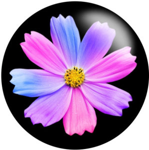 20MM Flower pattern Smile Print  glass snaps buttons