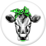20MM pattern cows  Print  glass snaps buttons