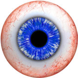 20MM  Eyes Cat Eye Eyeball Print  glass snaps buttons