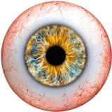 20MM  Eyes Cat Eye Eyeball Print  glass snaps buttons  Jewelry Making