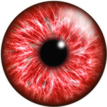 20MM  Eyes Cat Eye Eyeball Print  glass snaps buttons DIY Jewelry