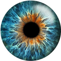 20MM  Eyes Cat Eye Eyeball Print  glass snaps buttons Jewelry Making