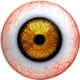 20MM  Eyes Cat Eye Eyeball Print  glass snaps buttons