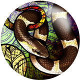 20MM pattern snake Print  glass snaps buttons  Jewelry Making