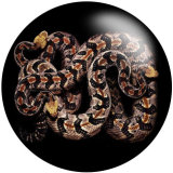 20MM pattern snake Print  glass snaps buttons  Jewelry Making