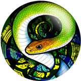 20MM pattern snake Print  glass snaps buttons  Jewelry Making
