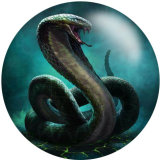 20MM pattern snake Print  glass snaps buttons  Jewelry Making