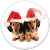 20MM Christmas Kitten and puppy Print glass snaps buttons  DIY jewelry