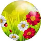 20MM strawberry  Print glass snaps buttons