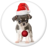 20MM Christmas Kitten and puppy Print glass snaps buttons  DIY jewelry