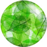 20MM Transparent leaf  Print glass snaps buttons