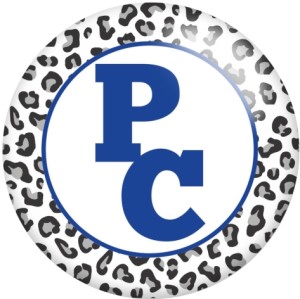 20MM Team Sports Print glass snaps buttons  DIY jewelry