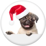 20MM Christmas Kitten and puppy Print glass snaps buttons  DIY jewelry