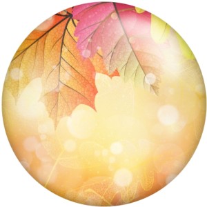 20MM Transparent leaf  Print glass snaps buttons