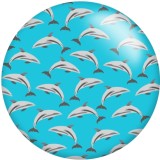 20MM Colorful pattern  Print glass snaps buttons  DIY jewelry
