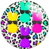20MM Colorful Pattern  Print glass snaps buttons  DIY jewelry