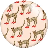 20MM DOG LOVE  Print glass snaps buttons  DIY jewelry