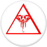 20MM DELTA SIGMA THETA  Print glass snaps buttons DIY jewelry