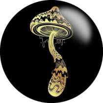 20MM mushroom  Print  glass snaps buttons