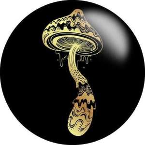 20MM mushroom  Print  glass snaps buttons