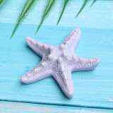 Starfish Gradient Shell Resin Ocean Series DIY 20mm snap button charms