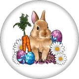 20MM Rabbit chicken cow pattern Print glass snap button charms