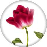 20MM Red Flower Print glass snap button charms