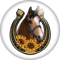 20MM horse Flower pattern Print glass snap button charms