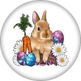 20MM Rabbit chicken cow pattern Print glass snap button charms
