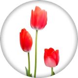 20MM Red Flower Print glass snap button charms