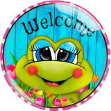 20MM Frogs believe Print glass snap button charms