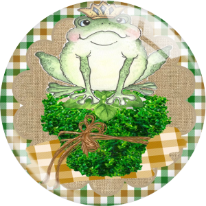 20MM Frogs believe Print glass snap button charms