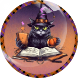 20MM Halloween Print glass snap button charms