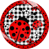 20MM animal Print glass snap button charms