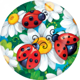 20MM animal Print glass snap button charms