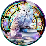 20MM owl Print glass snap button charms