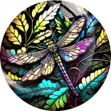 20MM dragonfly Print glass snap button charms