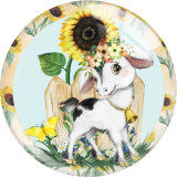 20MM animal Print glass snap button charms