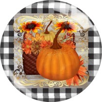 20MM Thanksgiving  Print glass snaps buttons  DIY jewelry