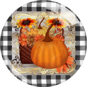 20MM Thanksgiving  Print glass snaps buttons  DIY jewelry