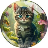 20MM Cat  pattern Print glass snap button charms